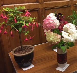 August 2017 CABAHS show table