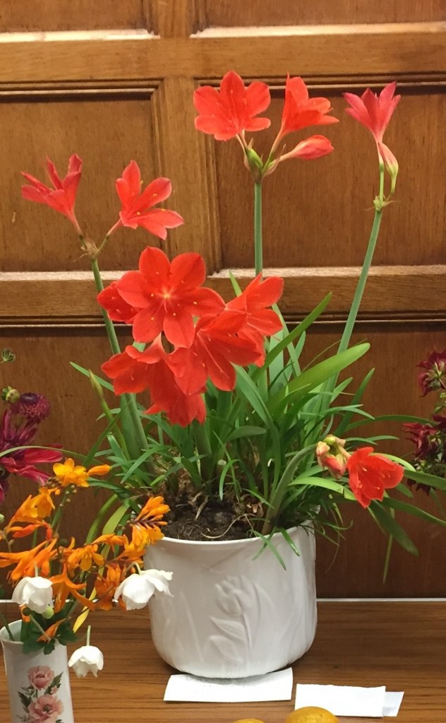 August 2017 CABAHS show table
