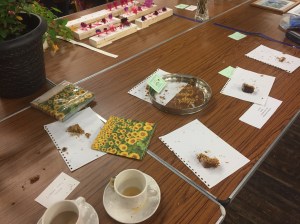 CABAHS Autumn Show 2017