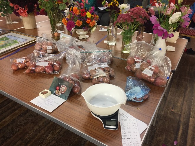 CABAHS Autumn Show 2017