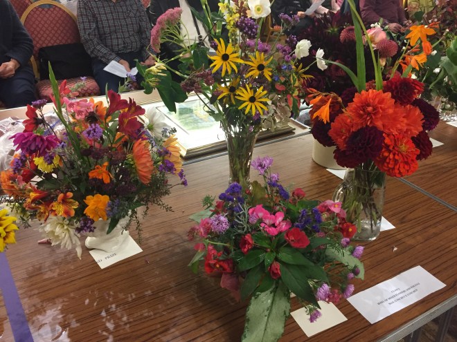 CABAHS Autumn Show 2017