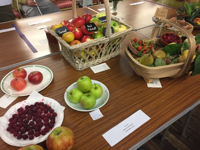CABAHS Autumn Show 2017