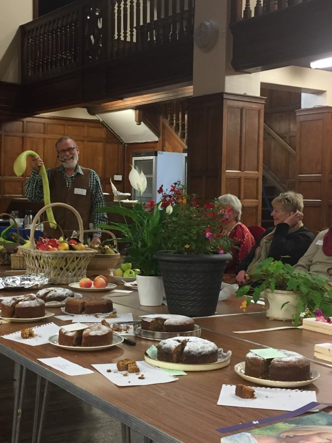 CABAHS Autumn Show 2017