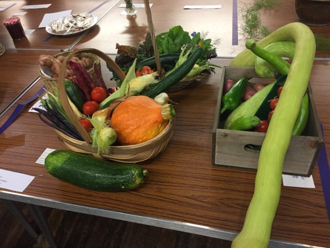 CABAHS Autumn Show 2017