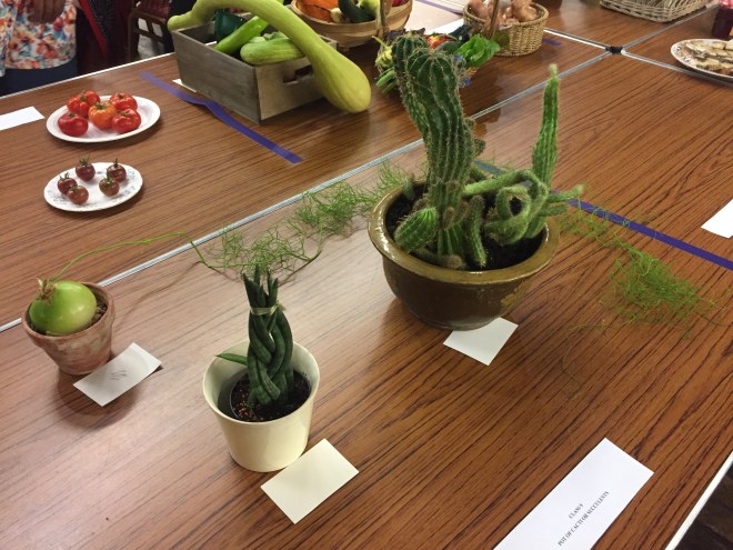 CABAHS Autumn Show 2017