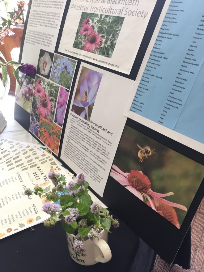 CABAHS stall at the 2017 Charlton House Honey Bee Day
