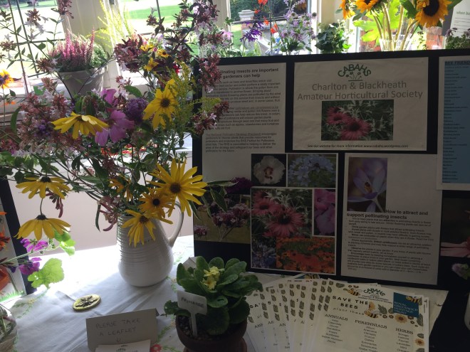 CABAHS stall at the 2017 Charlton House Honey Bee Day