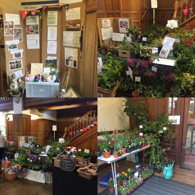 CABAHS stall at the Charlton House Horn Fair, October 2017