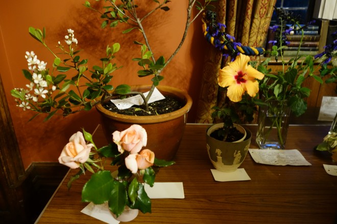May 2017 CABAHS show table