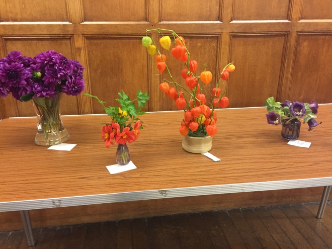 CABAHS Autumn Show 2017