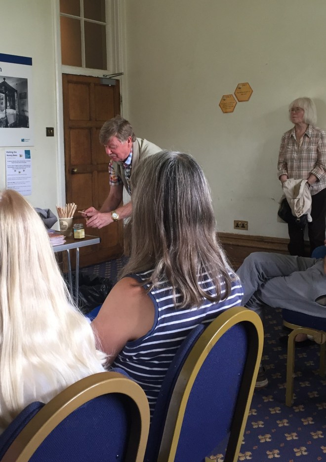 CABAHS stall at the 2017 Charlton House Honey Bee Day