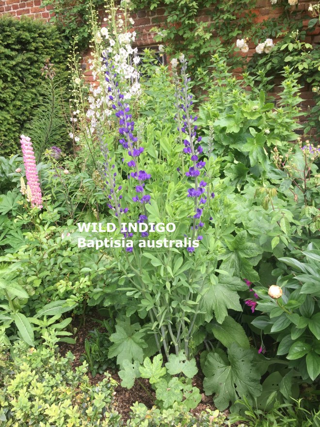 Sissinghurst, June 2018