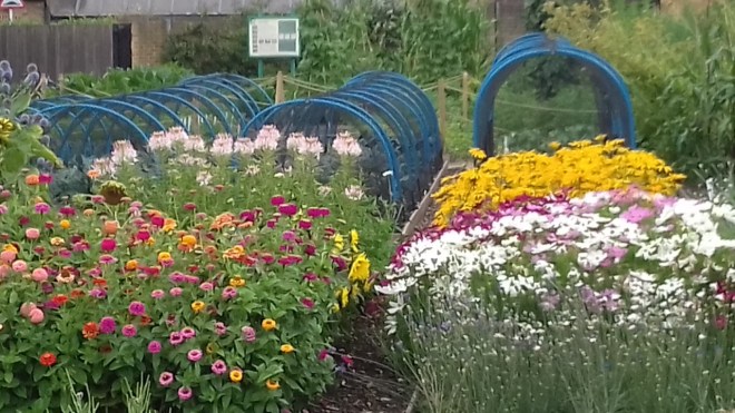 Hall Place, July 2018