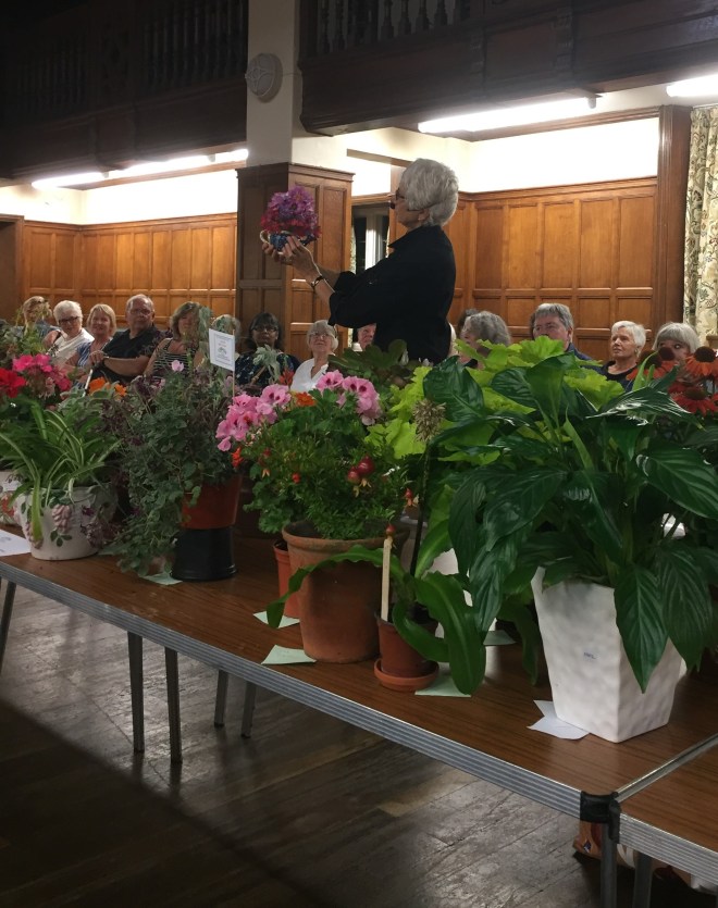 CABAHS Autumn Show 2018