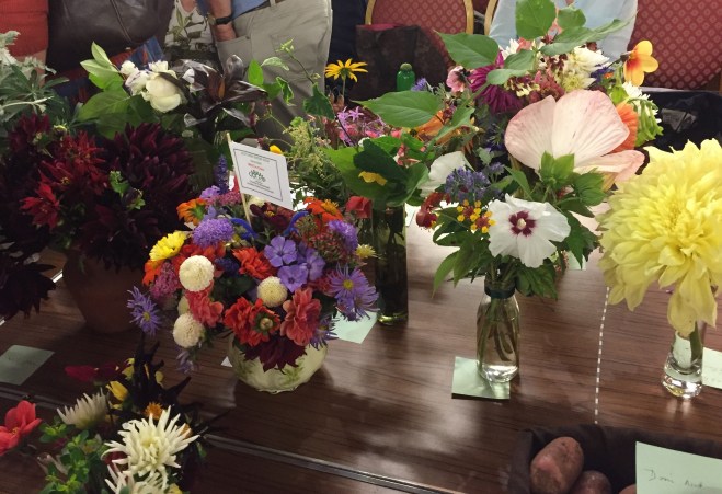 CABAHS Autumn Show 2018