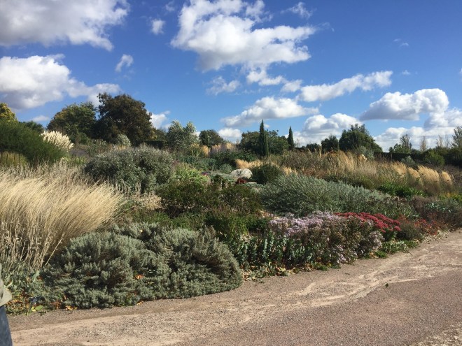 RHS Hyde Hall, September 2018