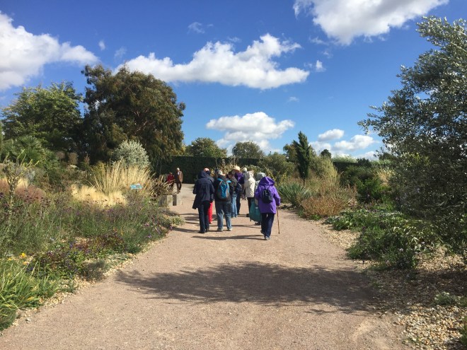 RHS Hyde Hall, September 2018