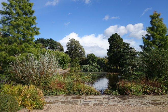 RHS Hyde Hall, September 2018
