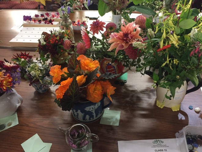 CABAHS Autumn Show 2018