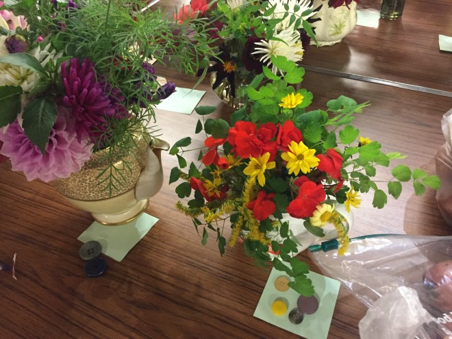 CABAHS Autumn Show 2018