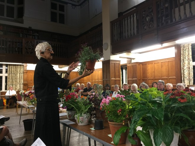 CABAHS Autumn Show 2018