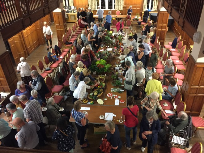 CABAHS Autumn Show 2018