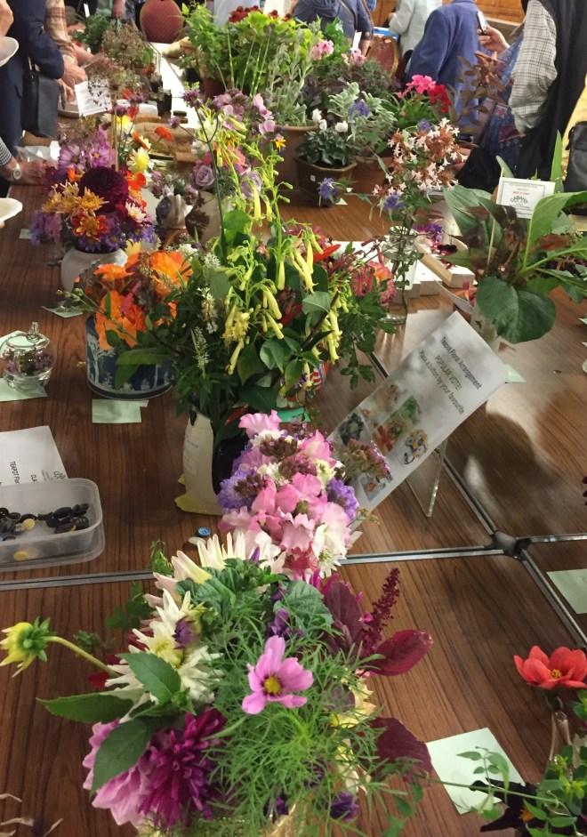 CABAHS Autumn Show 2018