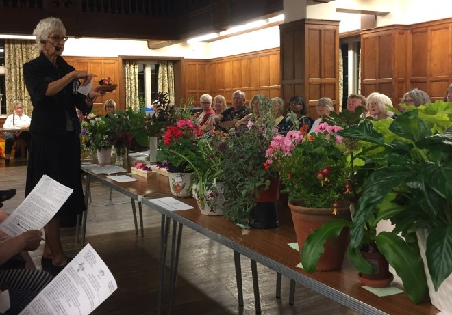 CABAHS Autumn Show 2018
