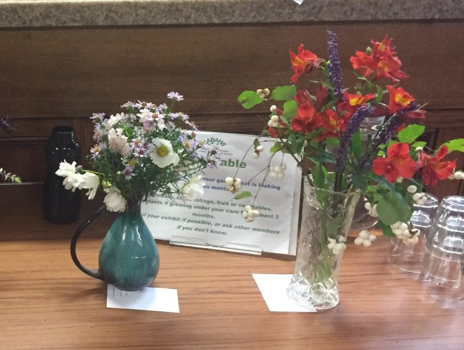 October 2018 CABAHS show table