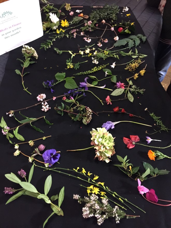 January 2019 CABAHS 'flower sprigs' show table