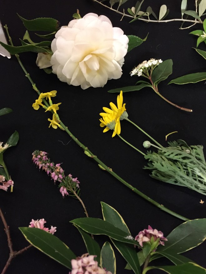 January 2019 CABAHS 'flower sprigs' show table