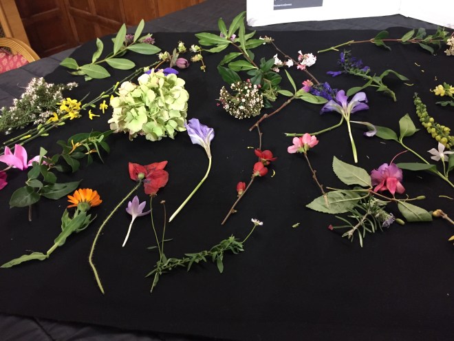 January 2019 CABAHS 'flower sprigs' show table