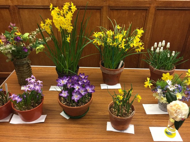 March 2019 CABAHS show table