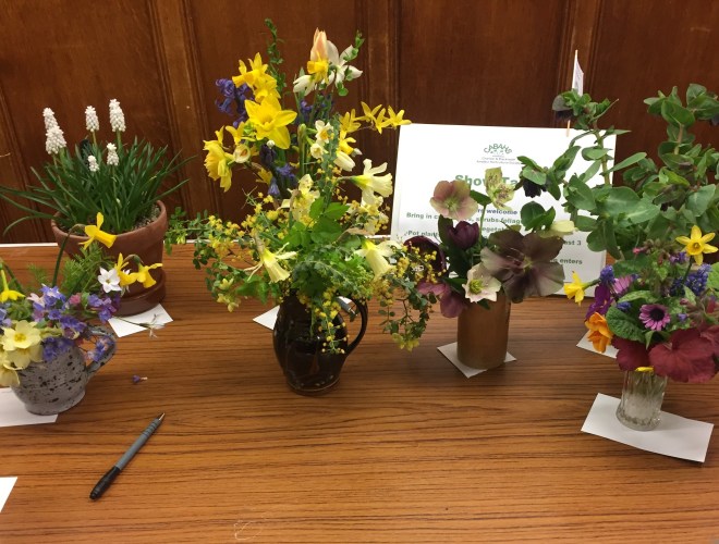 March 2019 CABAHS show table