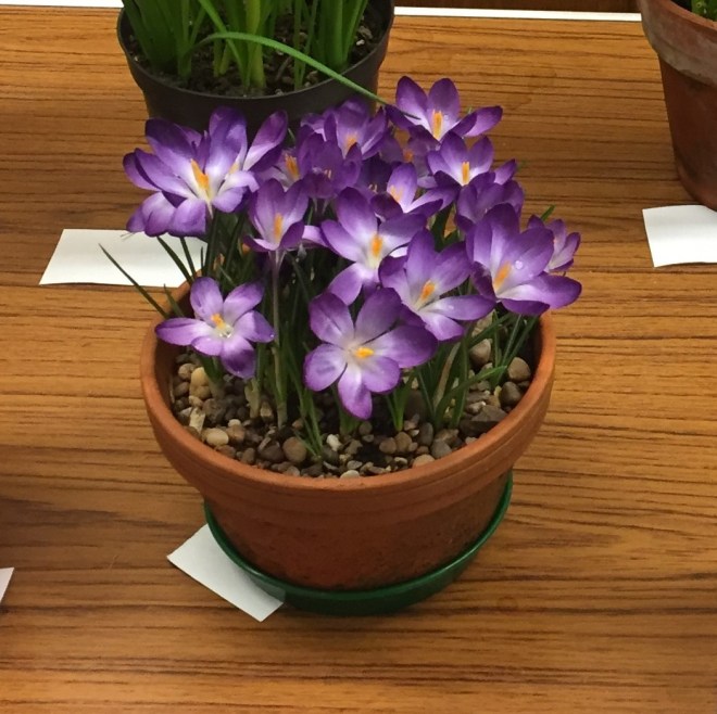 March 2019 CABAHS show table