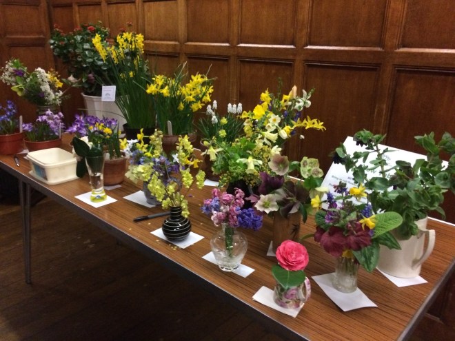 March 2019 CABAHS show table