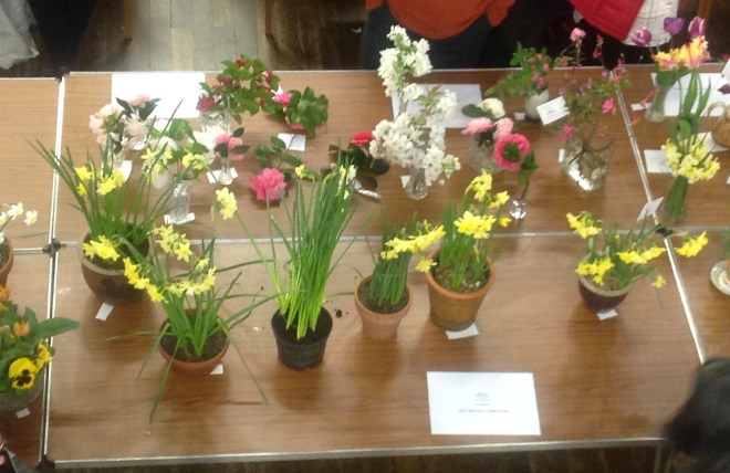 CABAHS Spring Show 2019