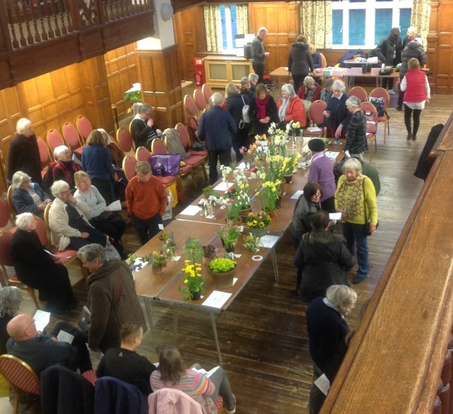 CABAHS Spring Show 2019