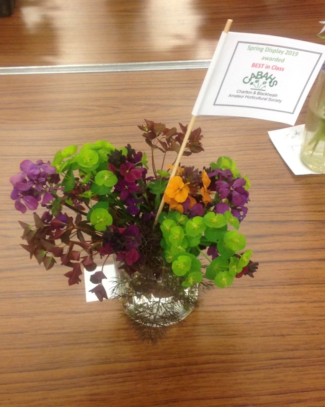 CABAHS Spring Show 2019