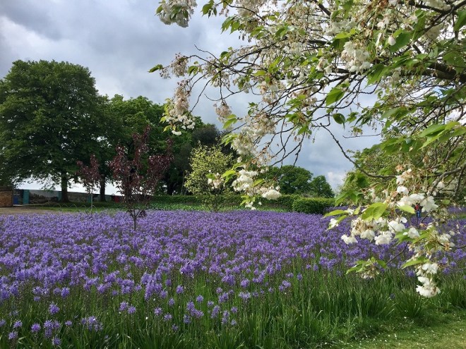 RHS Wisley, May 2019