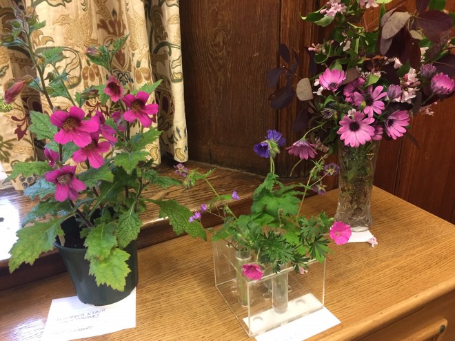 May 2019 CABAHS show table