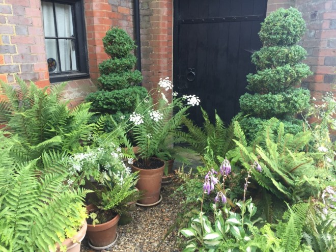 Chenies Manor garden