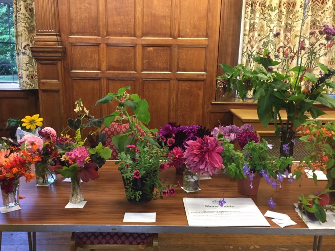 August 2019 CABAHS show table