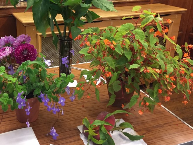 August 2019 CABAHS show table