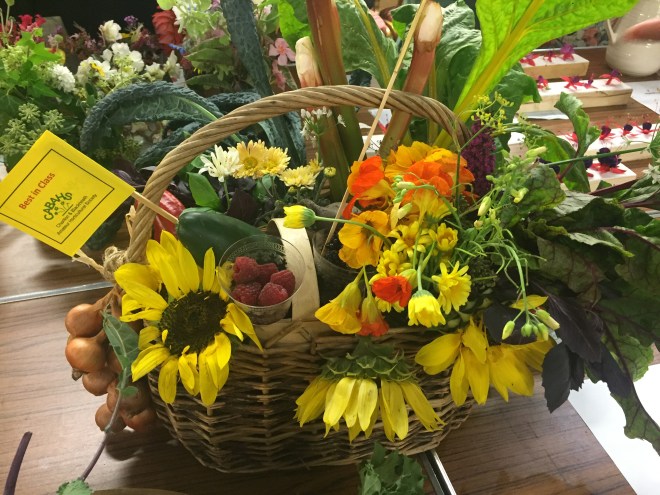 CABAHS 2019 Autumn Show