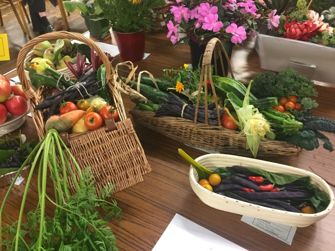 Vegetables at the CABAHS 2019 Autumn Show