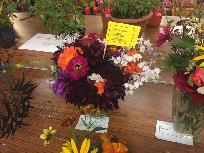 CABAHS 2019 Autumn Show