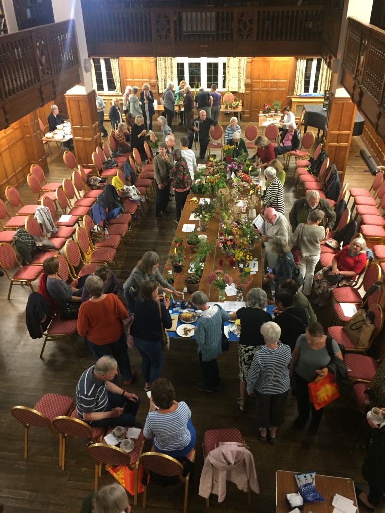 CABAHS 2019 Autumn Show