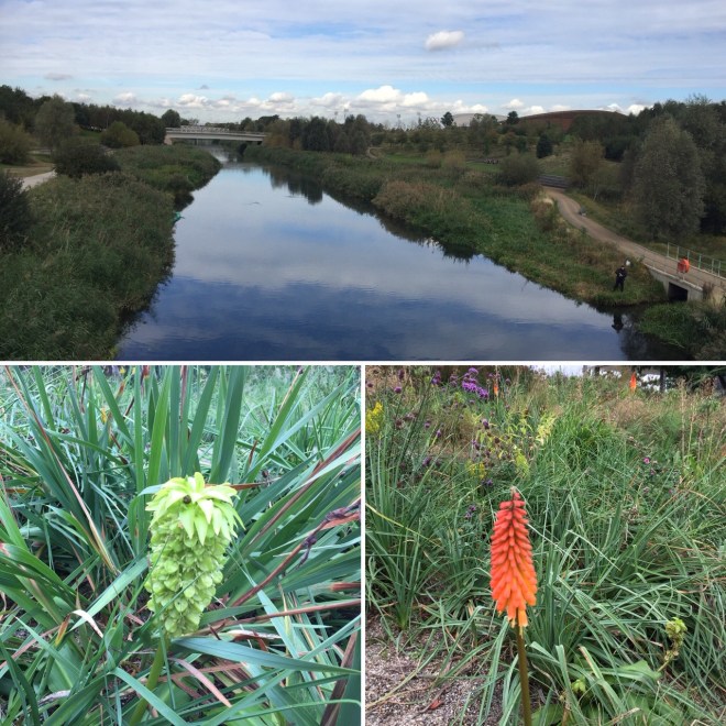 Queen Elizabeth Olympic Park, September 2019
