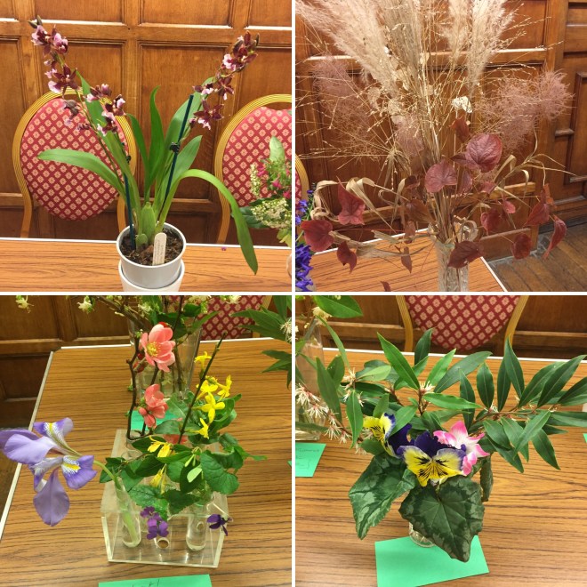 January 2020 CABAHS show table